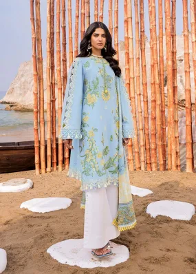 Embroidered Cotton Suit