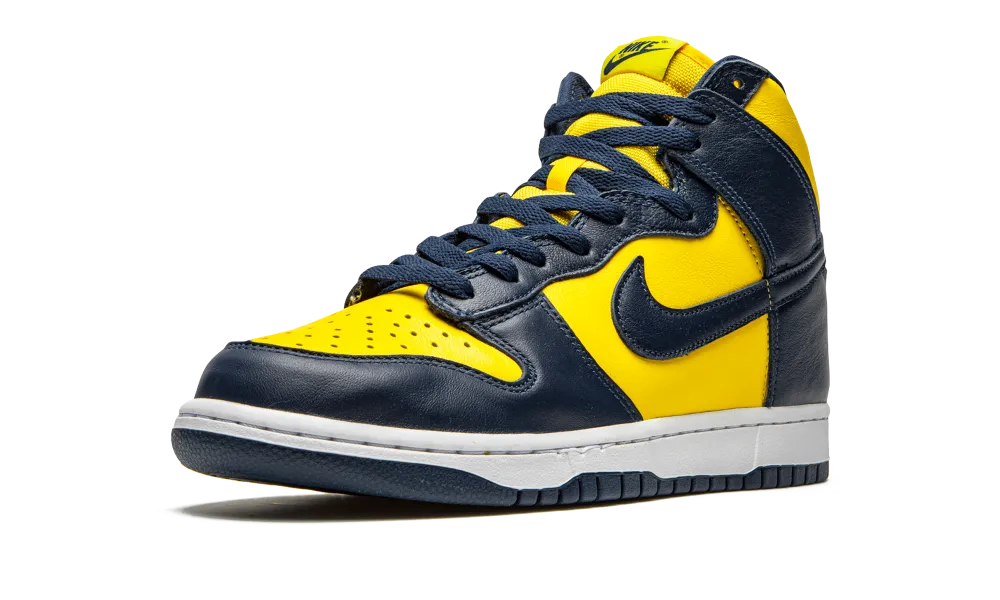 Nike Dunk High Michigan (2020)