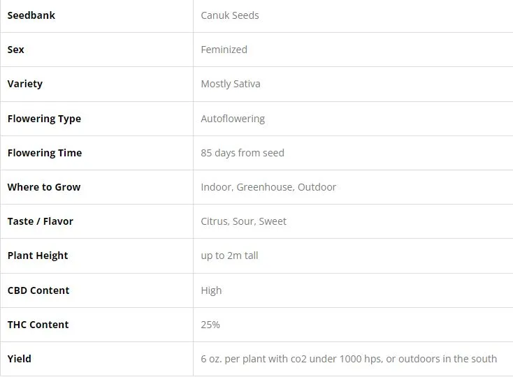 SEE067: Quarter Pounder Auto FEM 5 Seeds